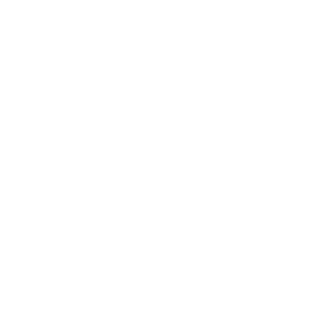 Percent icon